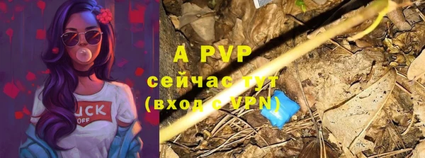 тгк Абинск