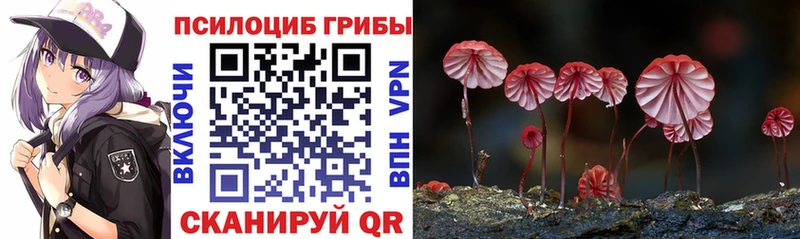 Галлюциногенные грибы MAGIC MUSHROOMS  omg ССЫЛКА  Лабинск  где найти  
