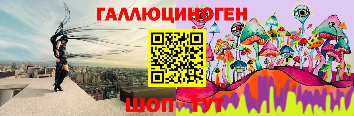 Псилоцибиновые грибы Psilocybe  Вход с VPN  Лабинск 